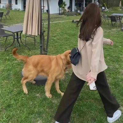 小脚板走天涯